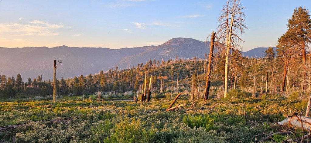 An Open Letter From Future&nbsp;Me